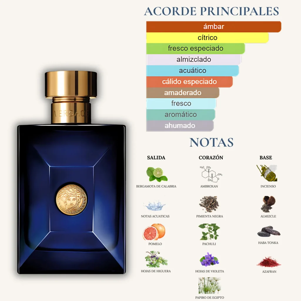 Perfume Dylan Blue de Versace para hombre, con acordes de ámbar, cítricos y notas de bergamota, ambroxan e incienso.